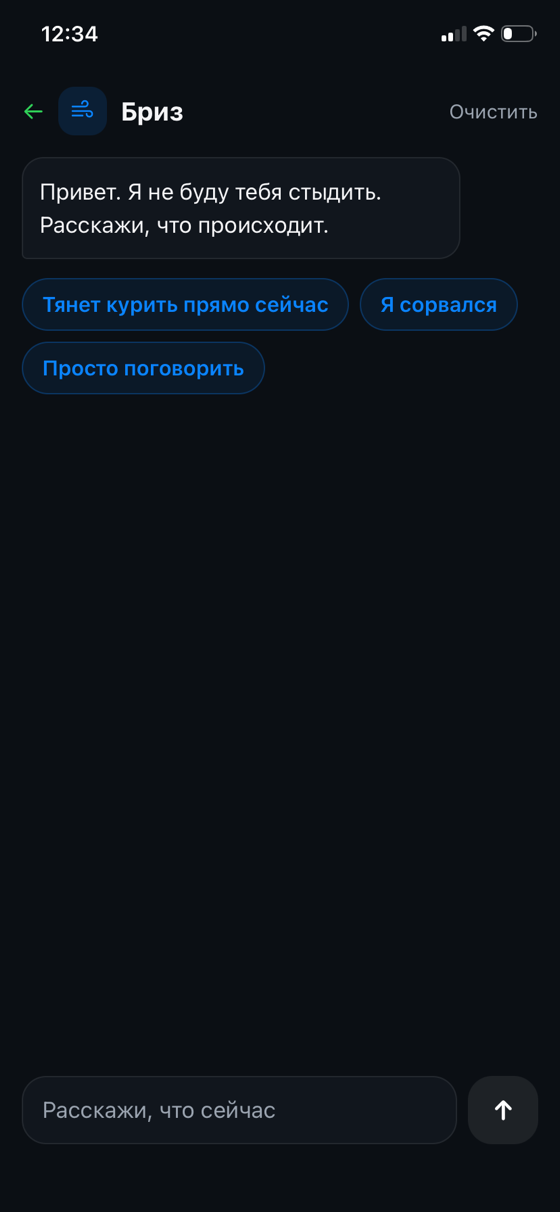 Чат с Бризом