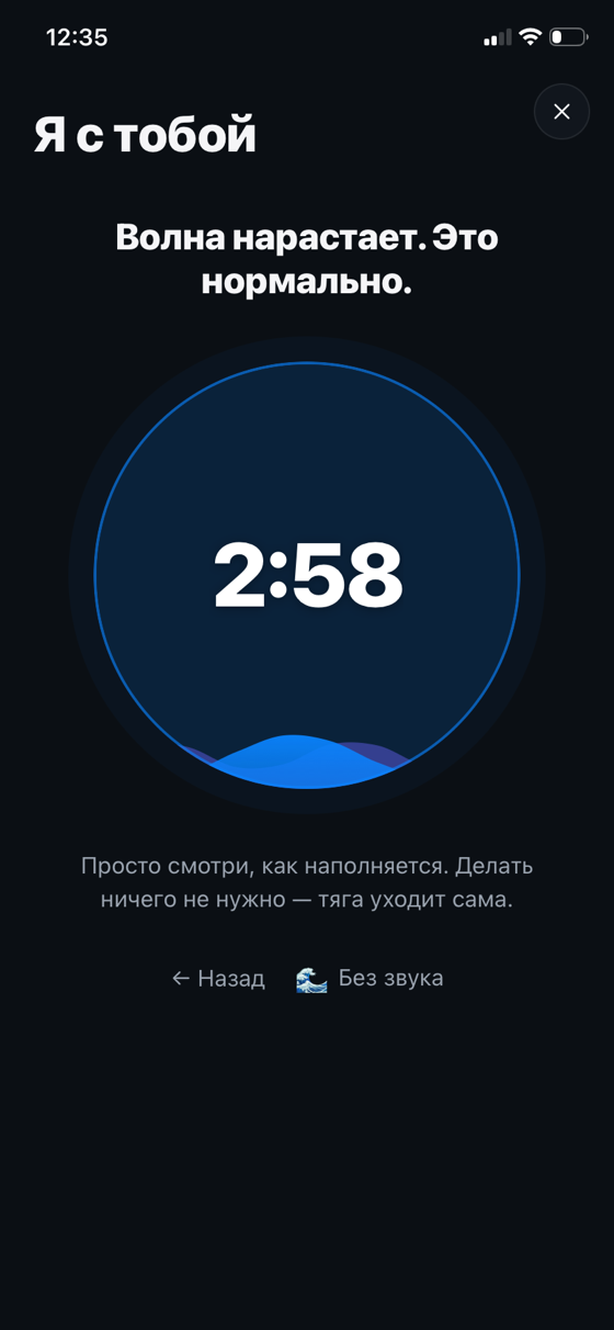 Экран SOS — переждать волну